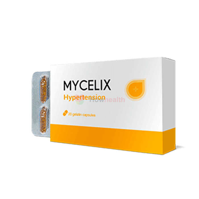 Mycelix - Heilmittel gegen Bluthochdruck
